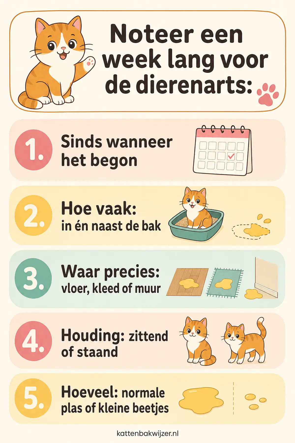 Noteer een week lang voor de dierenarts: sinds wanneer, hoe vaak, waar precies, in welke houding en hoeveel je kat plast.