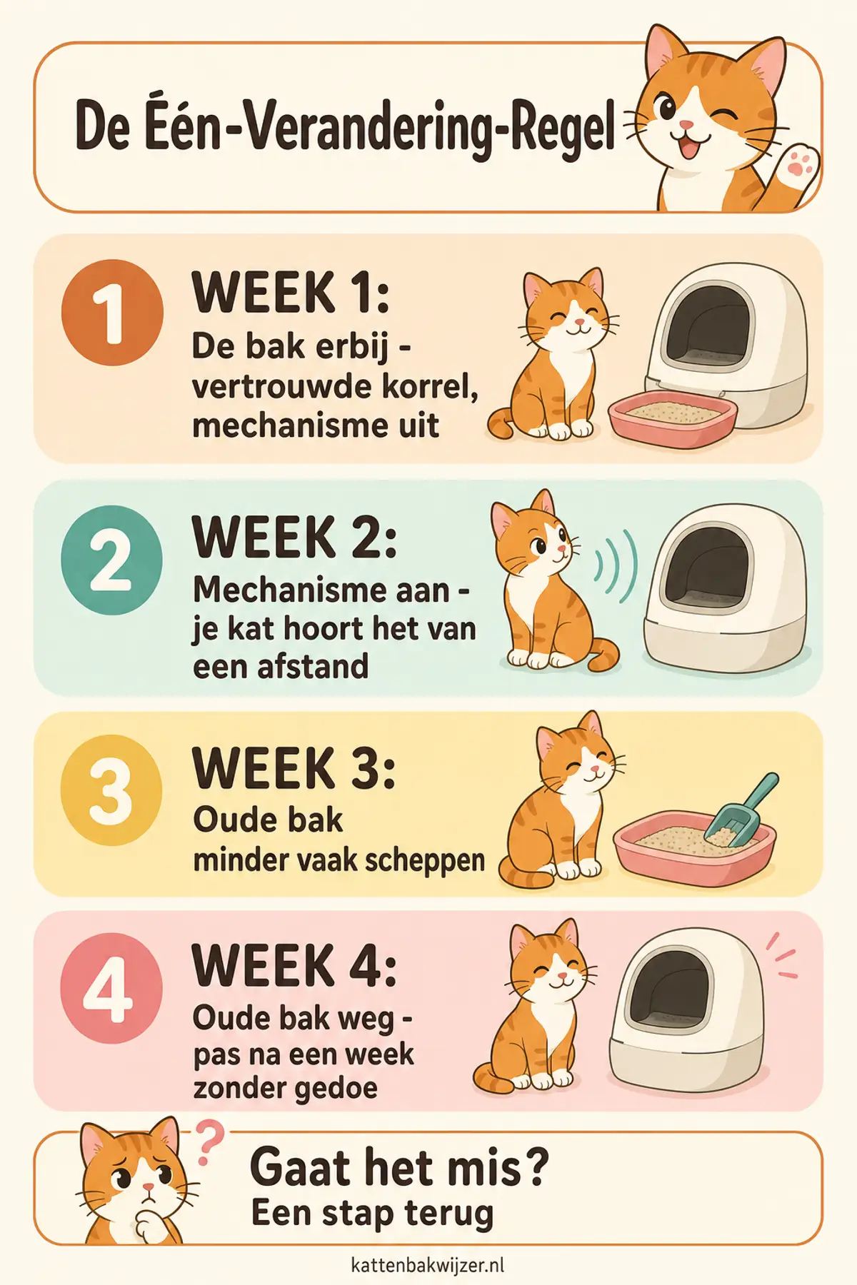 Het stappenplan om je kat te laten wennen aan een automatische kattenbak: week 1 de bak erbij met de vertrouwde korrel en het mechanisme uit, week 2 het mechanisme aan, week 3 de oude bak minder vaak scheppen, week 4 de oude bak weghalen.