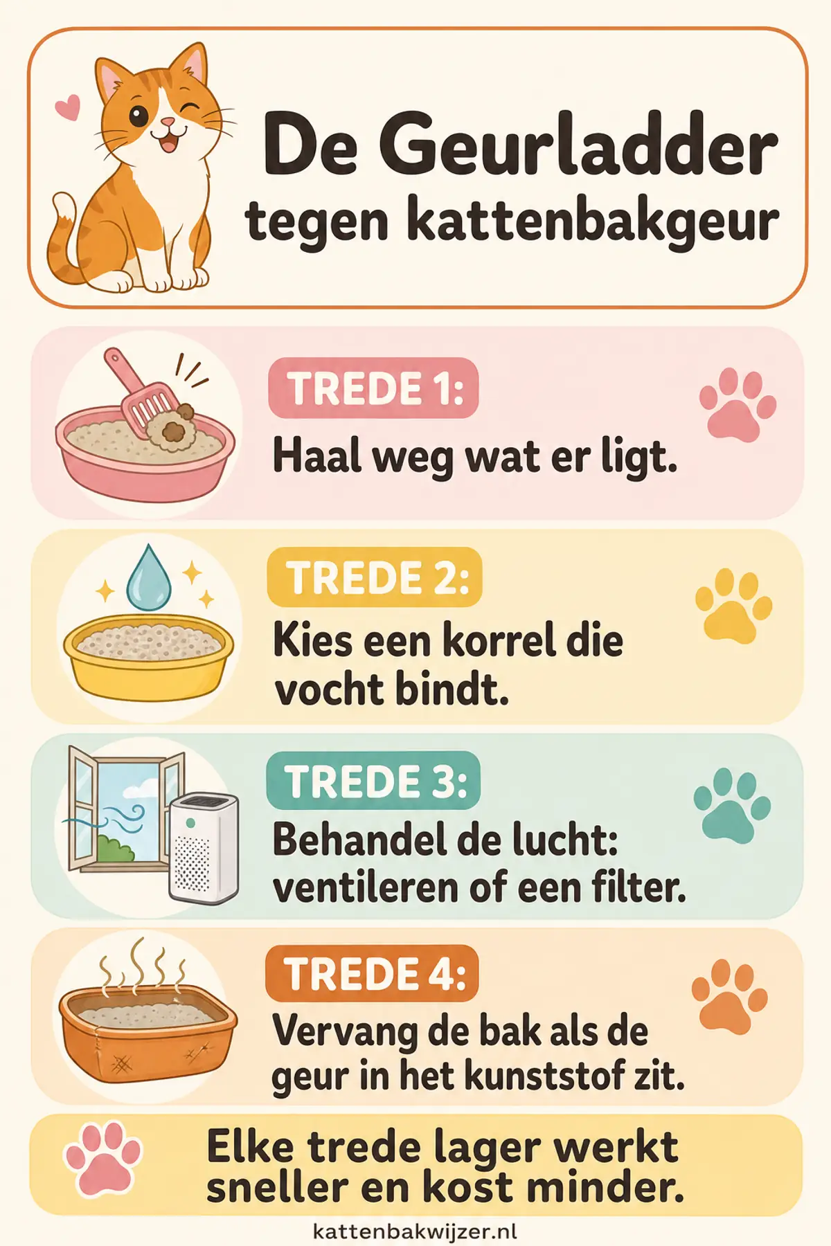 De Geurladder tegen kattenbakgeur: eerst weghalen wat er ligt, dan de korrel, dan de lucht en pas als laatste de bak zelf vervangen.