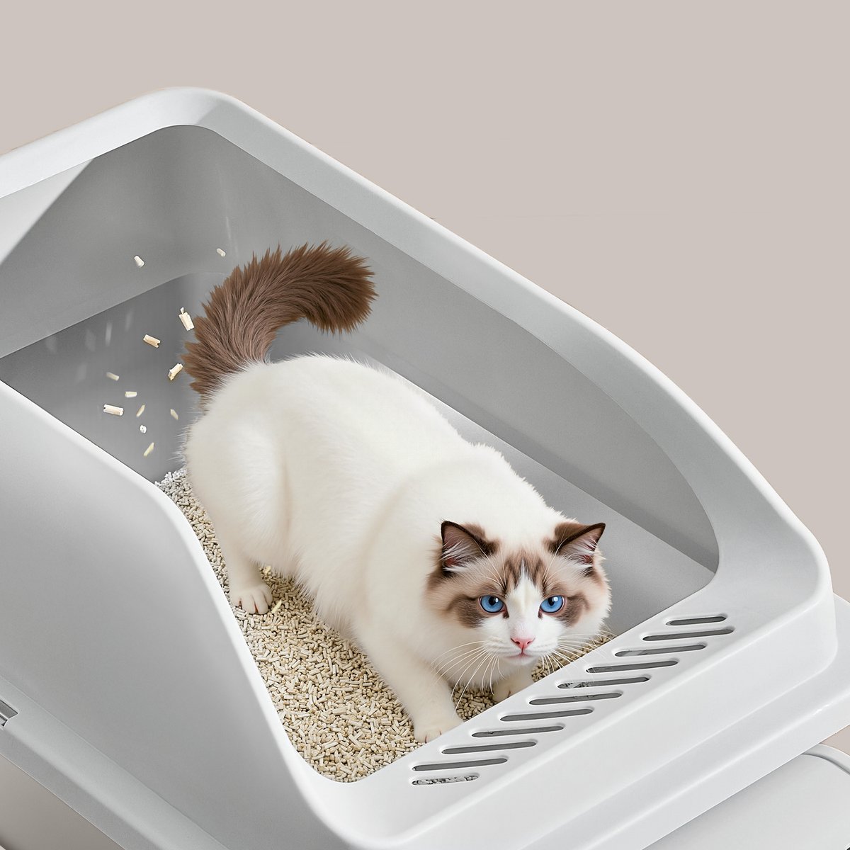 Miniatuur van productfoto 2 van Feandrea - Kattenbak - Met Hoge Zijkanten - Ruim - Inclusief Schep en Borstel