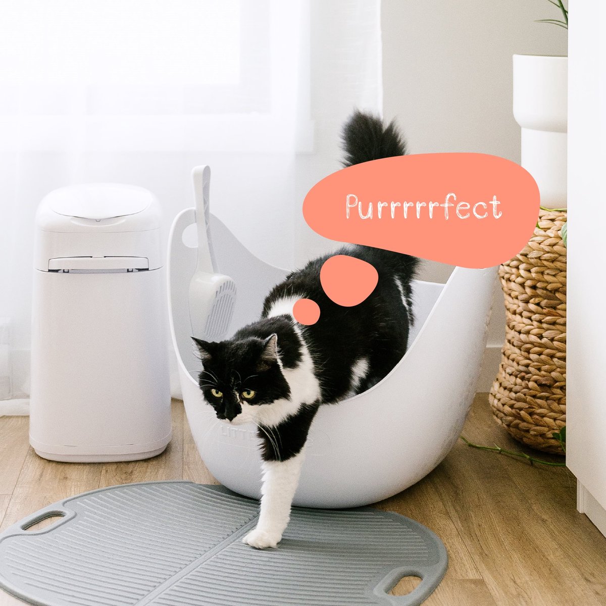 Miniatuur van productfoto 4 van LITTER GENIE Flexibele Kattenbak - Lichtgewicht & Duurzaam - Incl. Schep - Geïntegreerde Handvaten & Hoge Randen - Grijs
