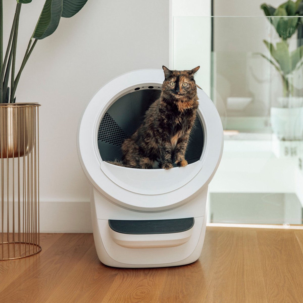 Miniatuur van productfoto 5 van Litter-Robot 4 - Automatische Kattenbak - Zelfreinigend - Zwart - met App