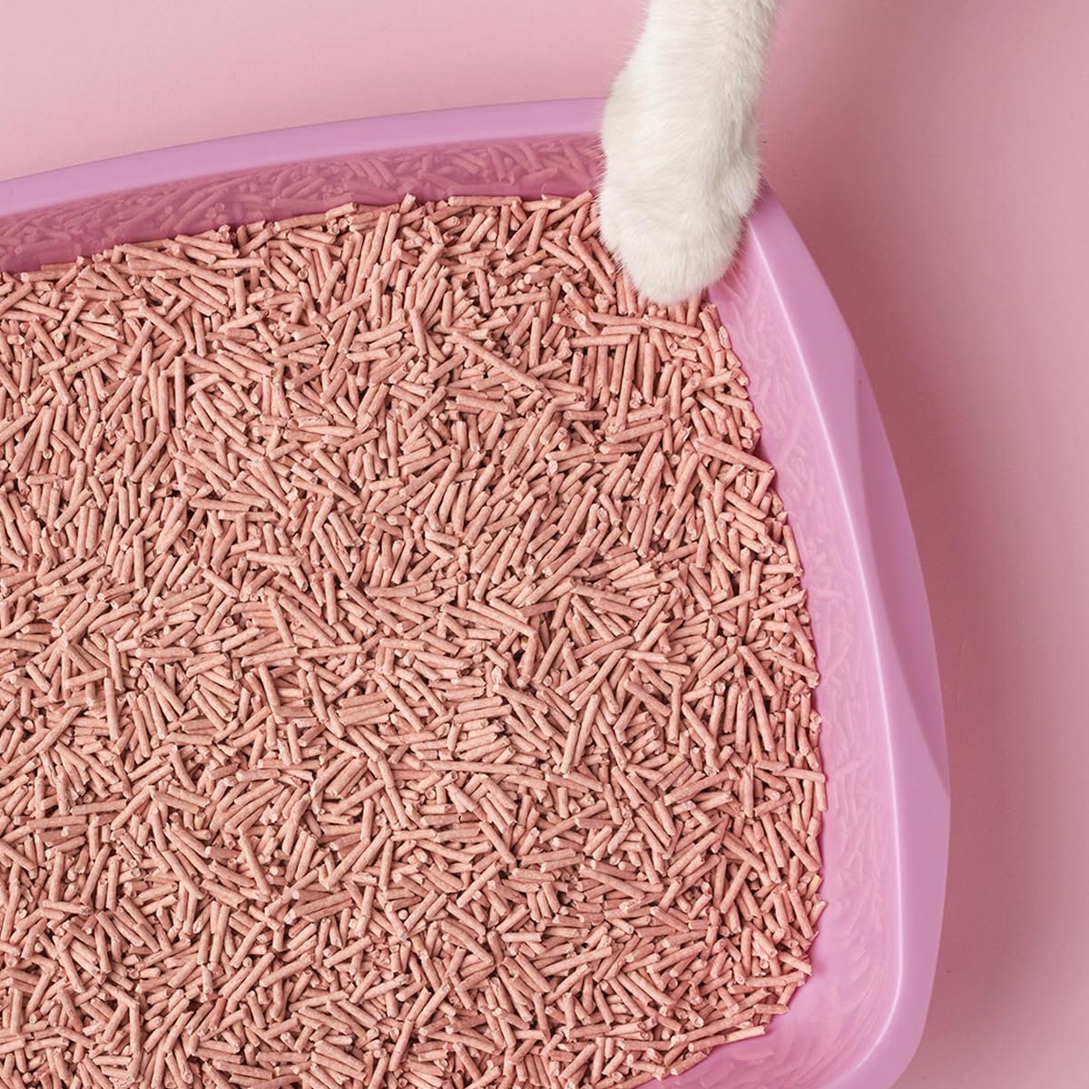 SnelShoppen - BeNatural Tofu Kattenbakvulling 5,5l, Klonterend, Plantaardig, Voor Maximaal 30 Dagen Gebruik, Biologisch Afbreekbaar, 3 Stuks