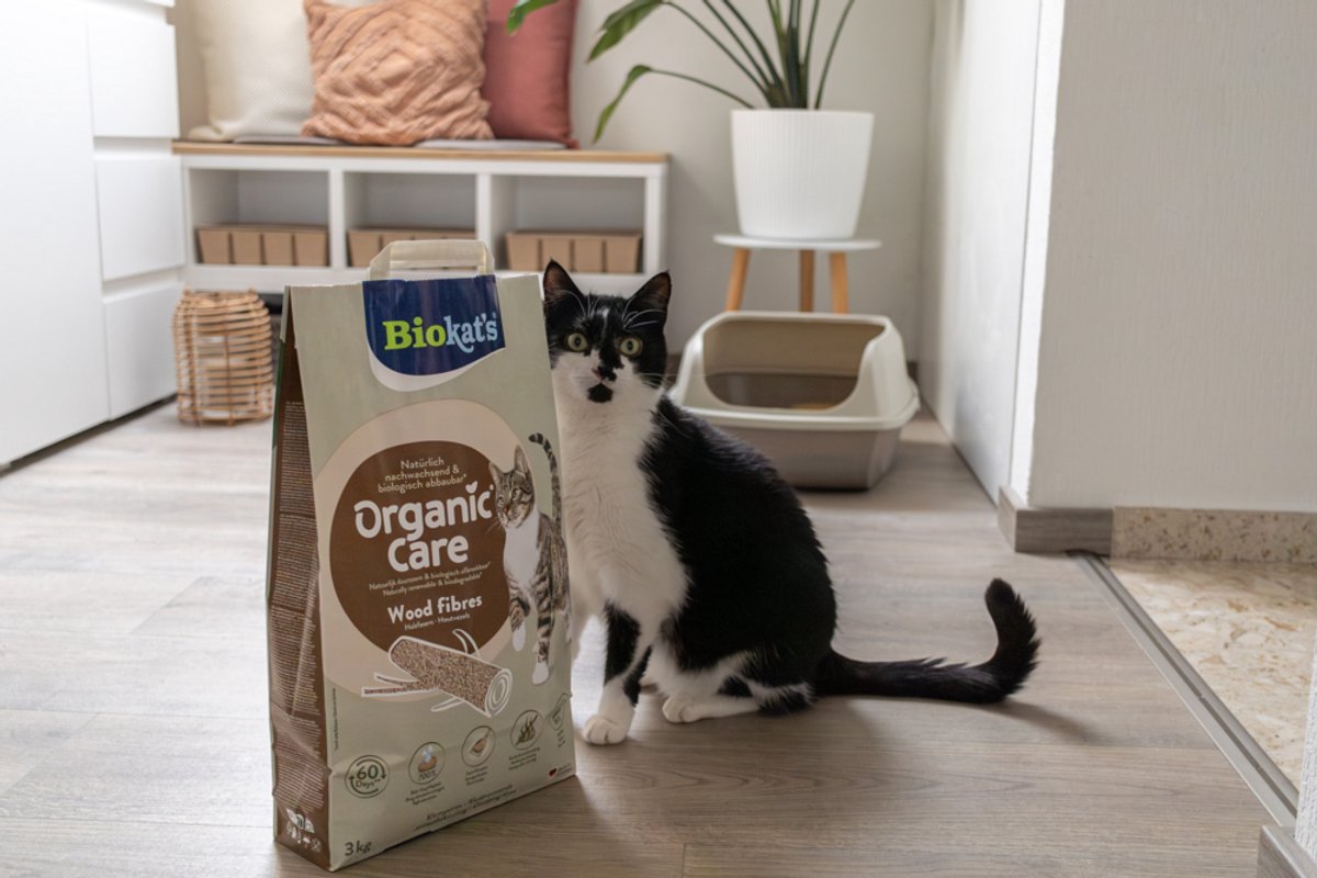 Miniatuur van productfoto 7 van Biokat´s Organic Care Wood - 3 Kg - Kattenbakvulling - Klontvormend - zonder geur