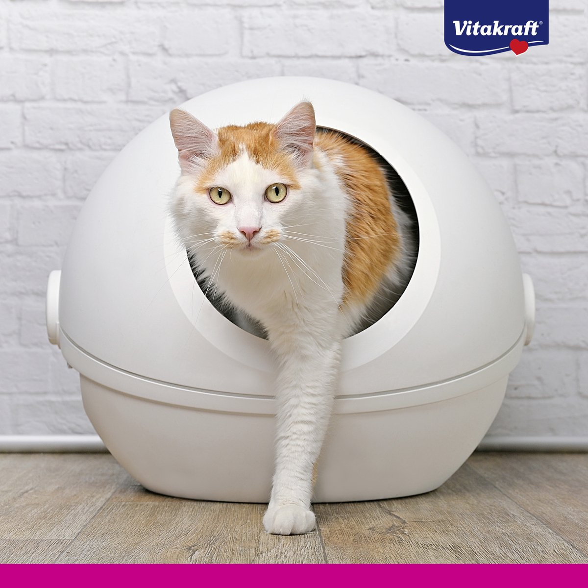 Miniatuur van productfoto 3 van Vitakraft Magic Clean kattenbakvulling - 5 L - 6 stuks