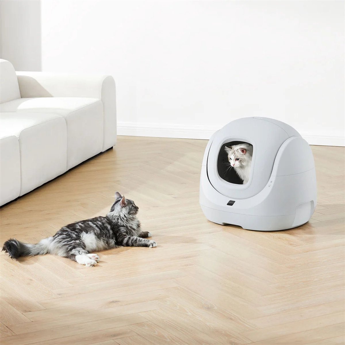 Miniatuur van productfoto 2 van CATLINK Baymax-Lite Slimme Automatische Kattenbak – Zelfreinigend, App-Bediening, 4 Reinigingsmodi, Geurcontrole, 65L Grote Capaciteit, Veiligheidssensoren, Voor Katten van 1.5–10 kg