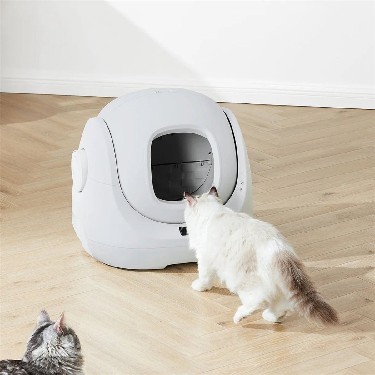 Miniatuur van productfoto 3 van CATLINK Baymax-Lite Slimme Automatische Kattenbak – Zelfreinigend, App-Bediening, 4 Reinigingsmodi, Geurcontrole, 65L Grote Capaciteit, Veiligheidssensoren, Voor Katten van 1.5–10 kg