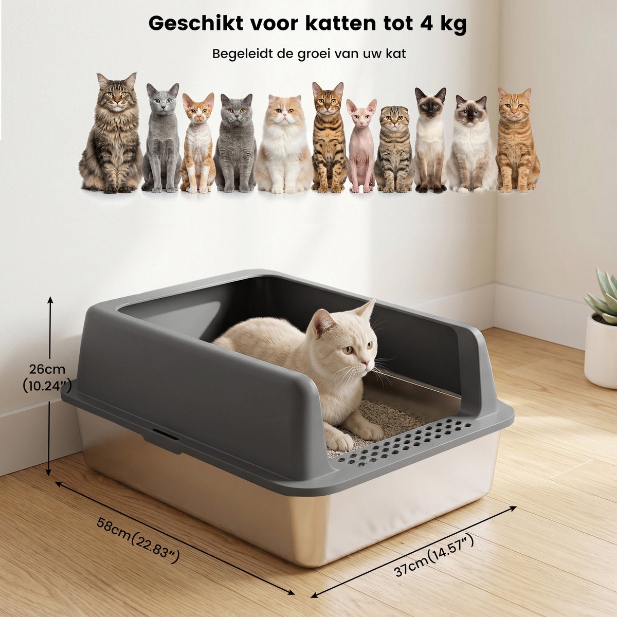 Miniatuur van productfoto 2 van DAITORE Kattenbak RVS - XXL - 58 × 37 × 26cm - Open Kattentoilet met hoge rand - Incl. Kattenbakschep -Geurvrij & Lekvrij - Gemakkelijk schoon te maken - Voor Grote én Kleine Katten - Donkergrijs