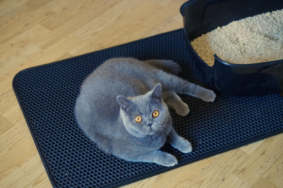 Productfoto 1 van Tastelio XXL Kattenbakmat - Honingraatstructuur - Grit Opvanger - Waterdicht - 75 x 55 cm - Zwart