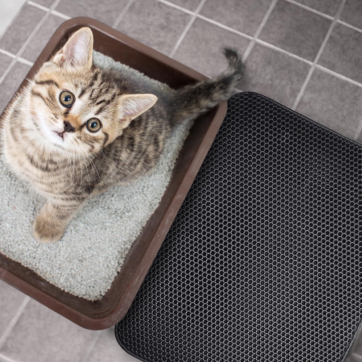 Miniatuur van productfoto 5 van Tastelio XXL Kattenbakmat - Honingraatstructuur - Grit Opvanger - Waterdicht - 75 x 55 cm - Zwart