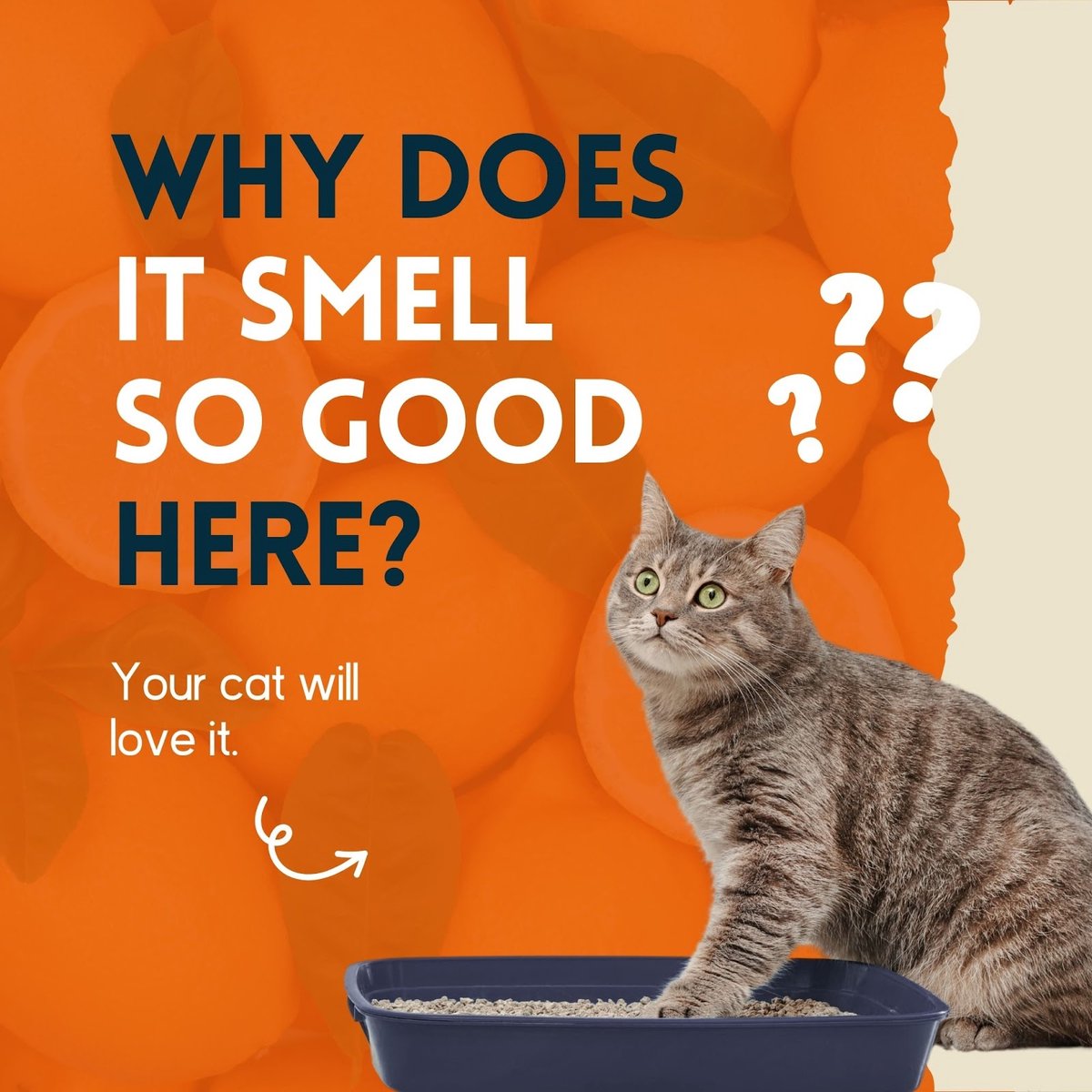 Productfoto 1 van nimo® kattenbak geurverwijderaar • neutraliserende spray tegen geurtjes en urine