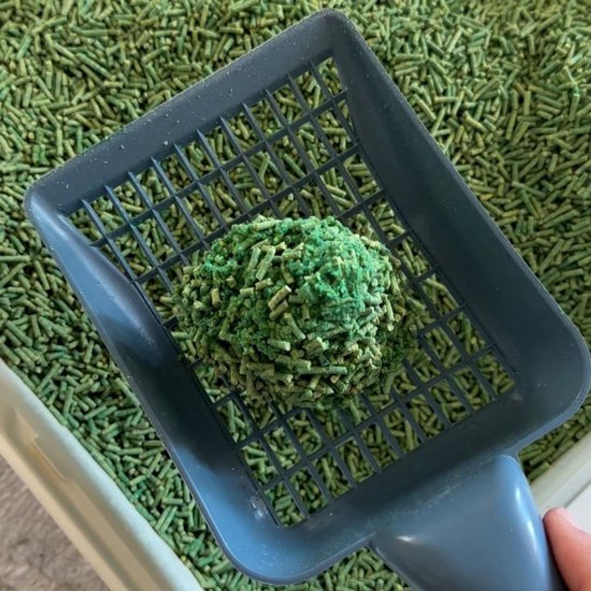 Miniatuur van productfoto 4 van Voordeelpakket 2×8L Denny BioAnimals Tofu Kattenbakvulling 8L – Biologisch Afbreekbaar – Klontvormend – Stofvrij – Geur neutraliserend