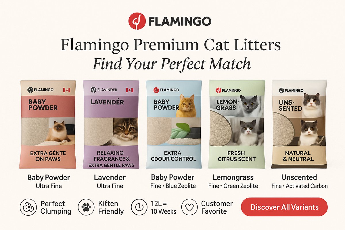 Miniatuur van productfoto 2 van Flamingo Kattenbakvulling Bentoniet met Babypoeder – 12 KG - Super Absorberend, Stofarm, Heerlijke Babypoedergeur, Ook Geschikt voor Kittens – Uit Canada