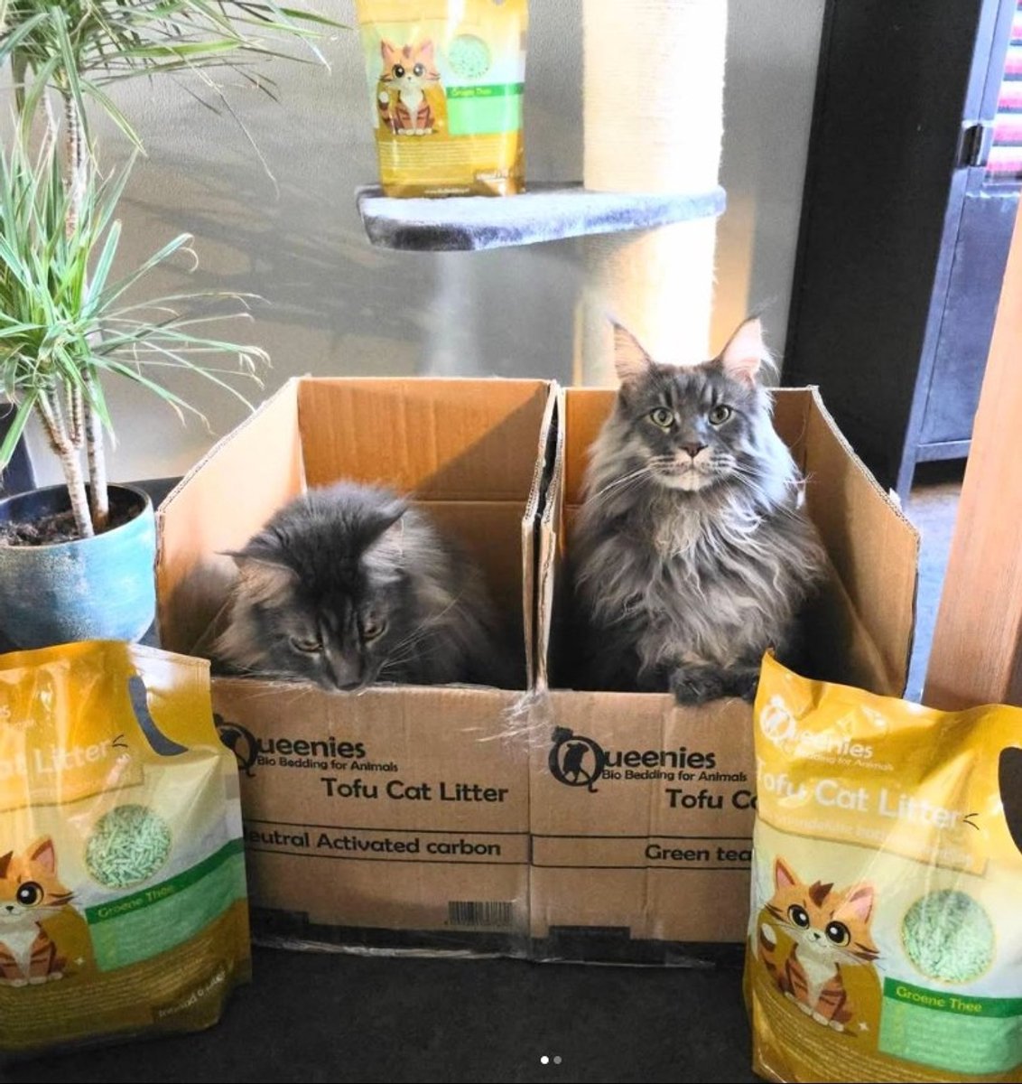 Miniatuur van productfoto 3 van 36 liter Tofu Cat Litter Groene Thee - Bio Bedding – 15 KG – Milieuvriendelijke kattenbakvulling