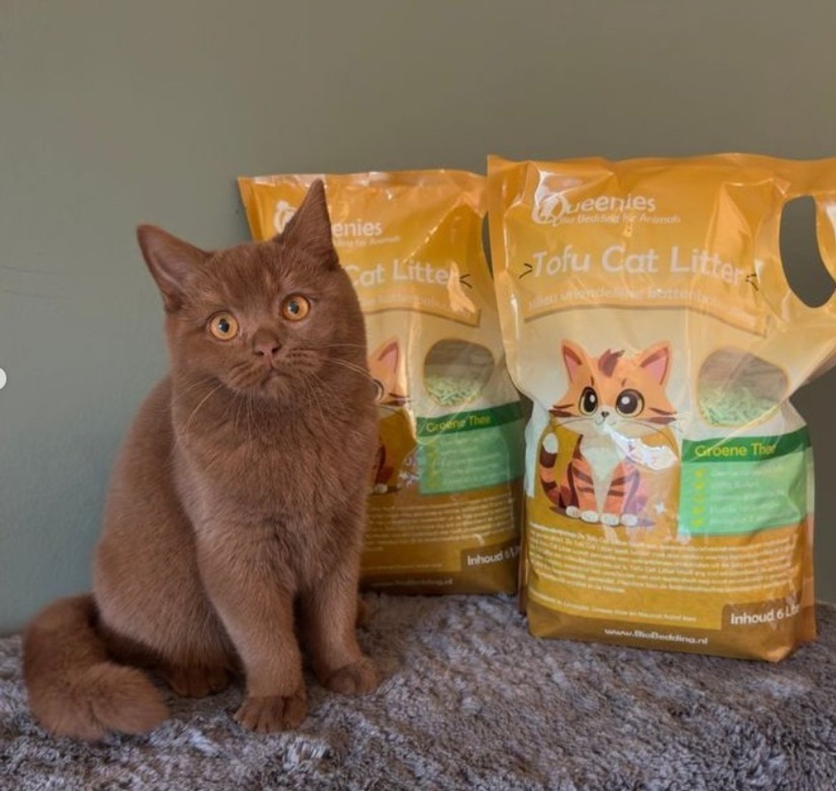 Miniatuur van productfoto 5 van 36 liter Tofu Cat Litter Groene Thee - Bio Bedding – 15 KG – Milieuvriendelijke kattenbakvulling