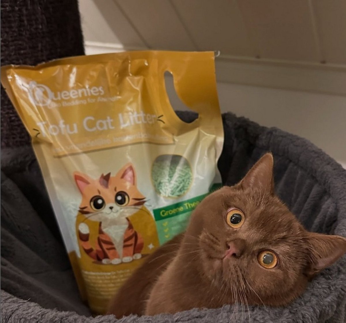 Miniatuur van productfoto 6 van 36 liter Tofu Cat Litter Groene Thee - Bio Bedding – 15 KG – Milieuvriendelijke kattenbakvulling
