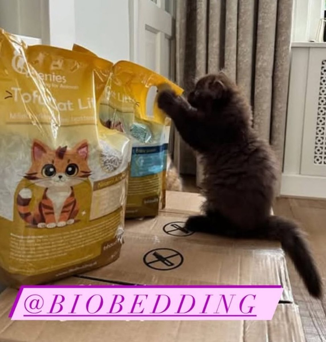 Miniatuur van productfoto 3 van 36 liter Tofu Cat Litter Neutraal - 15 KG - Biologisch afbreekbare kattenbakkorrel