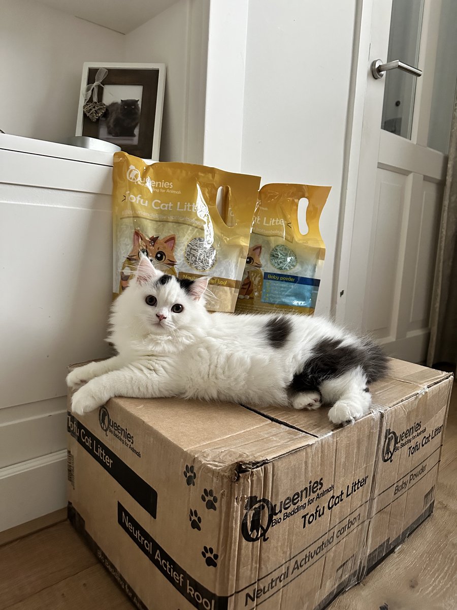 Miniatuur van productfoto 3 van Bio Bedding Tofu Cat Litter 36 liter - Kattenbakvulling – Baby Poeder – 15 KG – Biologisch afbreekbaar