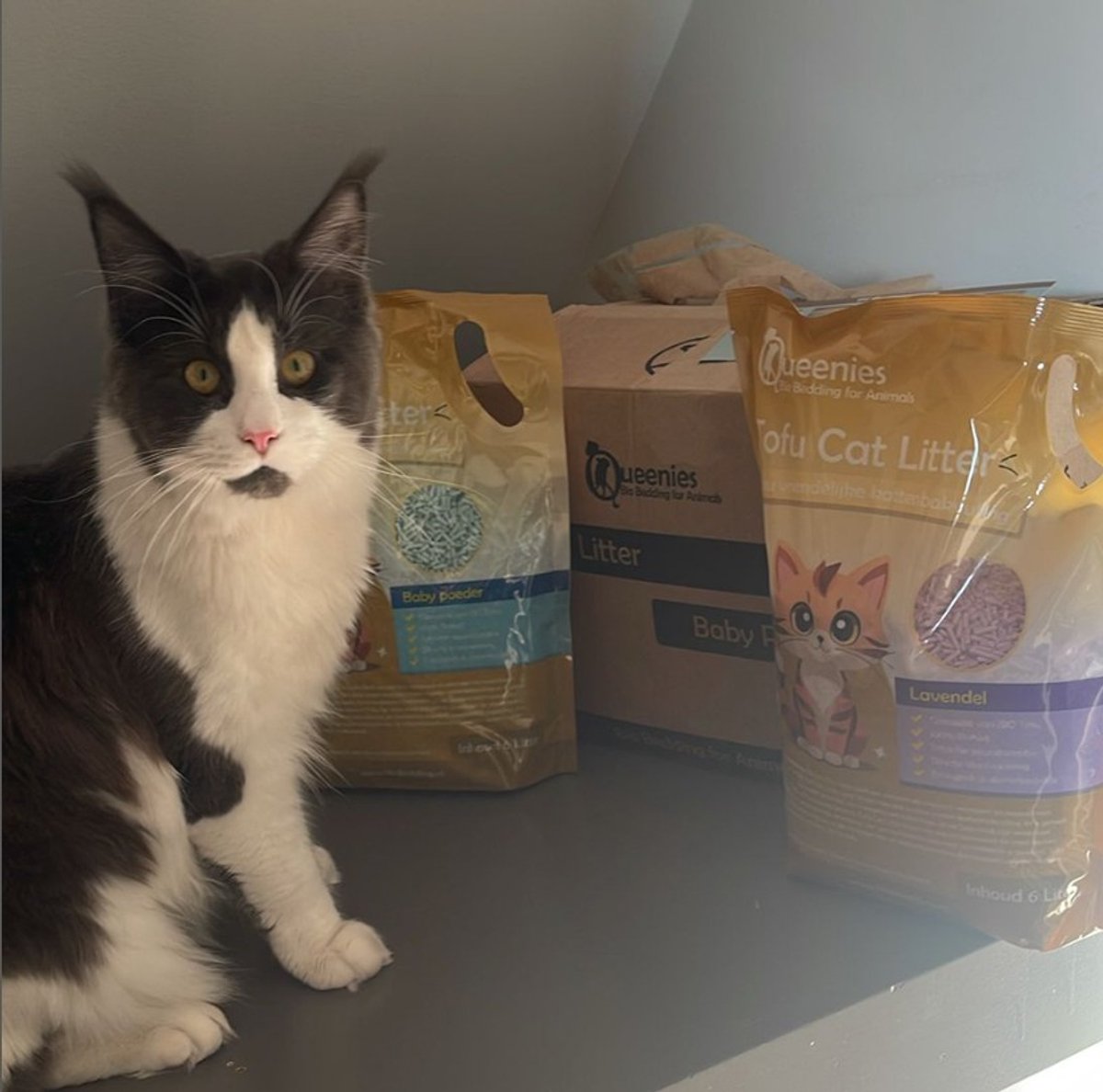 Miniatuur van productfoto 4 van Bio Bedding Tofu Cat Litter 36 liter - Kattenbakvulling – Baby Poeder – 15 KG – Biologisch afbreekbaar