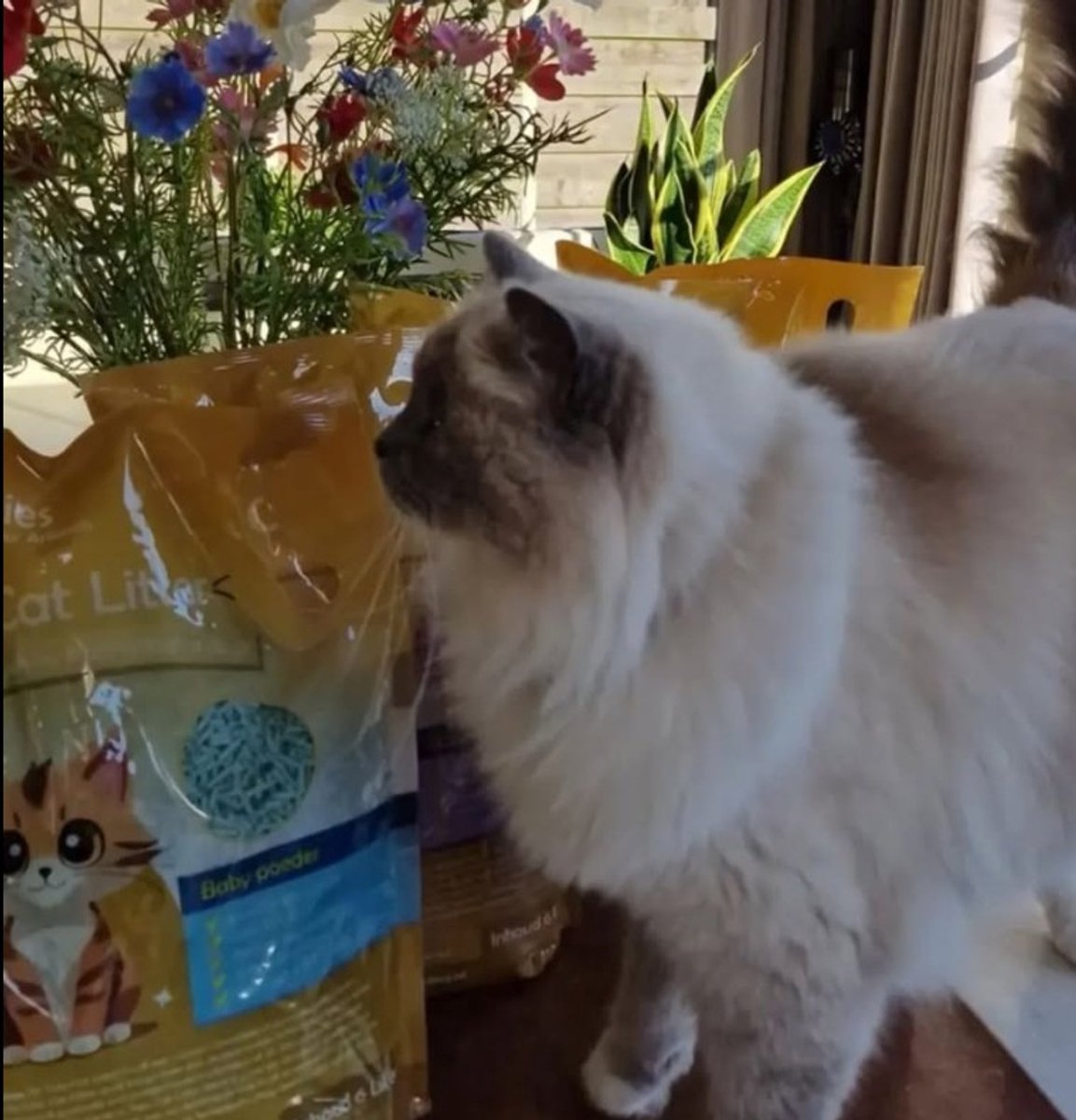 Miniatuur van productfoto 5 van Bio Bedding Tofu Cat Litter 36 liter - Kattenbakvulling – Baby Poeder – 15 KG – Biologisch afbreekbaar