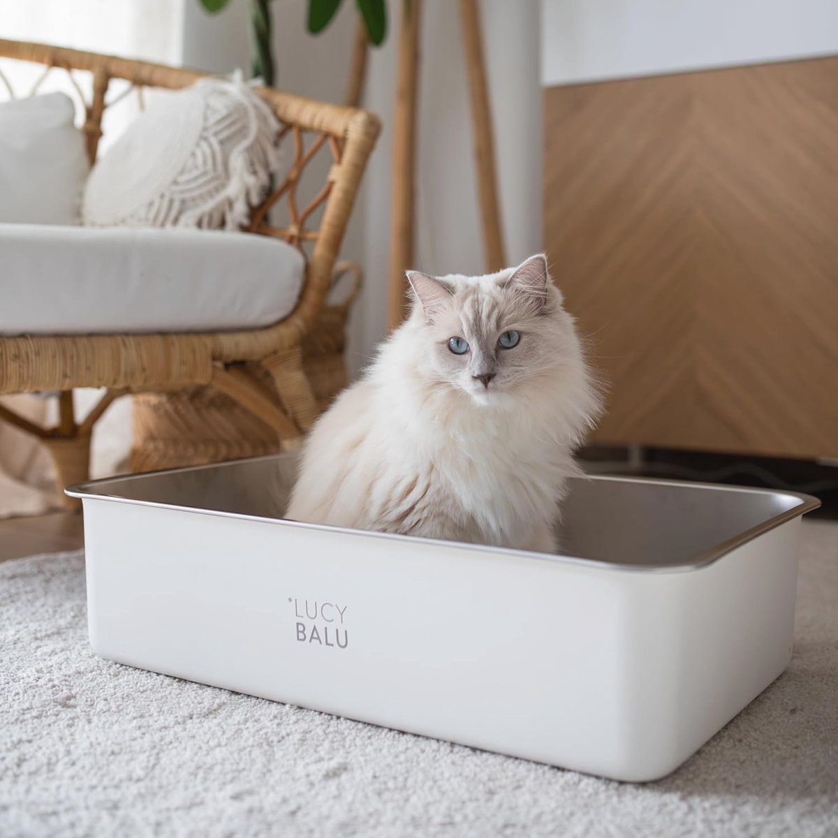 Miniatuur van productfoto 7 van Geurvrije XXL roestvrijstalen kattenbak - Moderne open hop-in kattenbak voor katten - Hygienisch kattentoilet in Wit