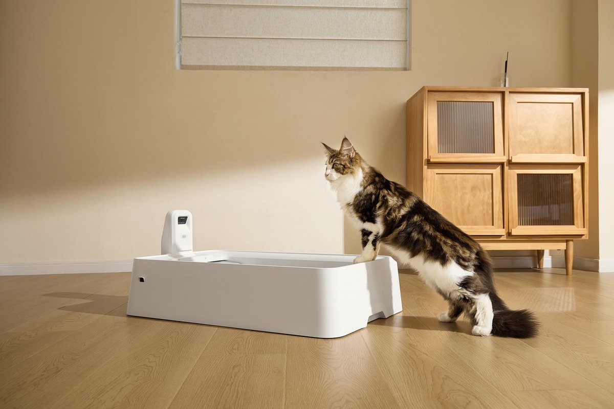 Miniatuur van productfoto 12 van Petkit - Purobot Crystal Duo met camera - Automatische kattenbak - AI camera - Dierengezondheid