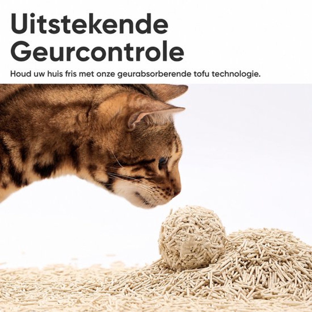 Miniatuur van productfoto 4 van YYCHAN RVS Kattenbak Ecohus Startpakket XXL-50x35x15cm-Zilver-Open Kattentoilet -Gemakkelijk Schoon Te Maken incl.Kattenbakvulling Klontvormend-6L