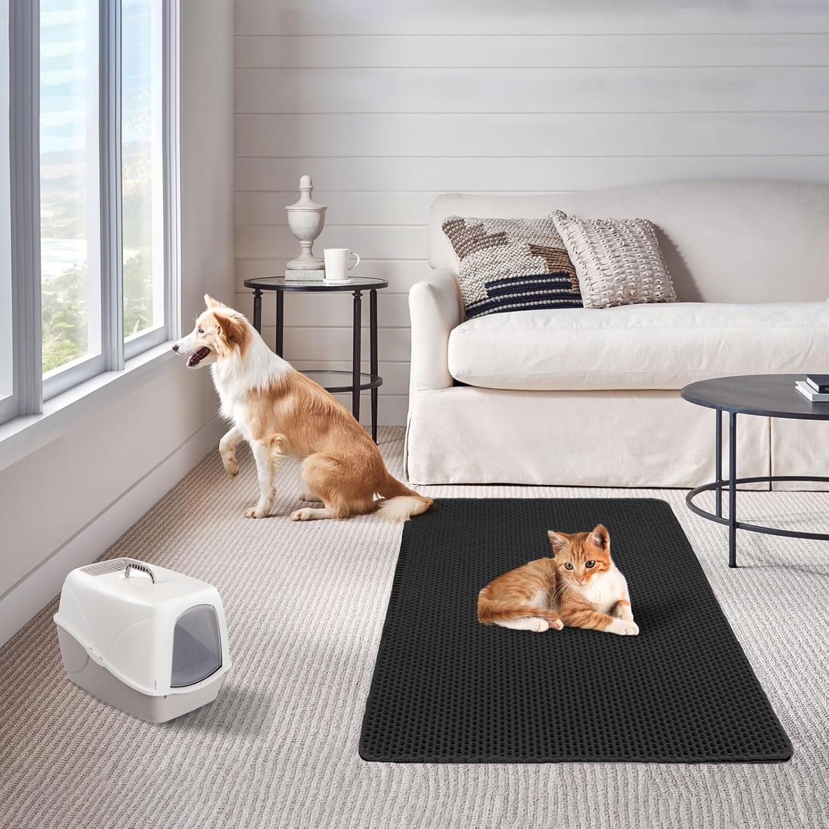 Miniatuur van productfoto 5 van Kattenbakmat - 40 x 50 cm - Waterdicht - Dubbele laag - Honingraatstructuur - Uitloopmat - Placemat Kat - Schoonloopmat Kattenbak - Kattenbak Accessoires - Katten Grit Opvanger - Katten Mat