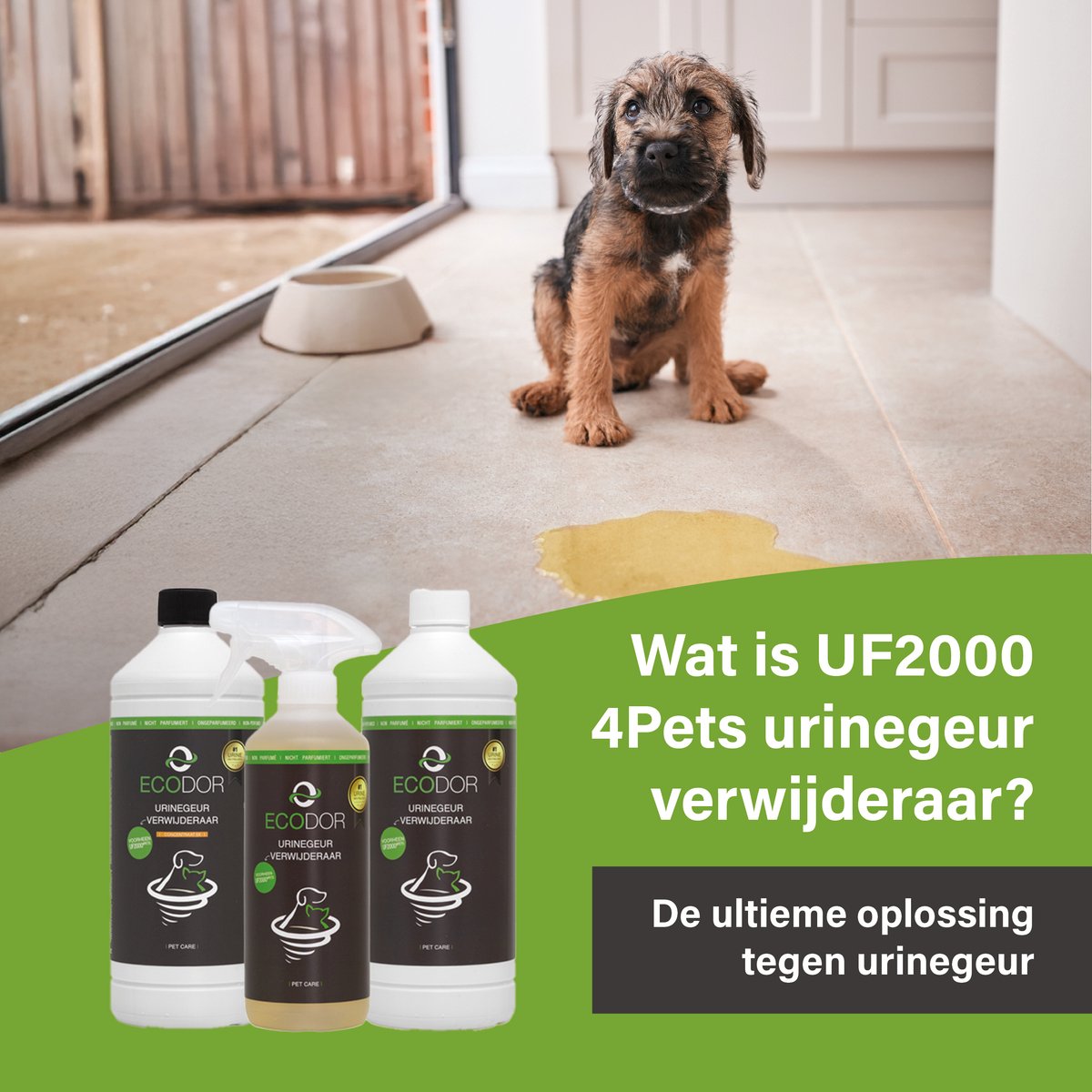Miniatuur van productfoto 7 van Ecodor UF2000 4Pets - Urinegeur Verwijderaar - 2x 500ml - Katten zindelijkheidstraining