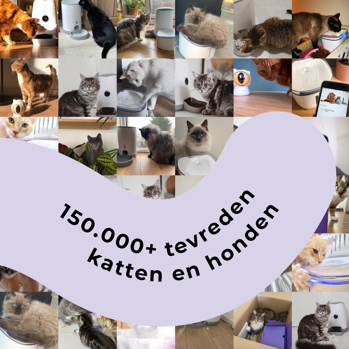 Miniatuur van productfoto 13 van Pettadore Air Insight - Kattenbak Geurverdrijver & Teller - Geurverwijderaar met Actieve zuurstof en ionen - Oplaadbaar - met App