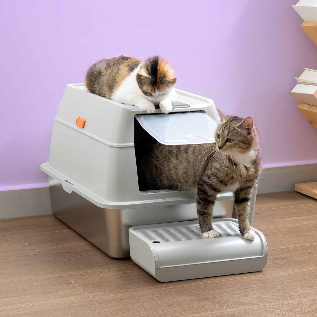 Miniatuur van productfoto 5 van Jake and Jacky RVS Kattenbak - Kattentoilet Roestvrijstaal - Incl. Kattenbakschep met Houder en Gritopvang Opstapje - 2 in 1 Open Kattenbak met Afneembare Deksel - 60x40x38cm - Grijs