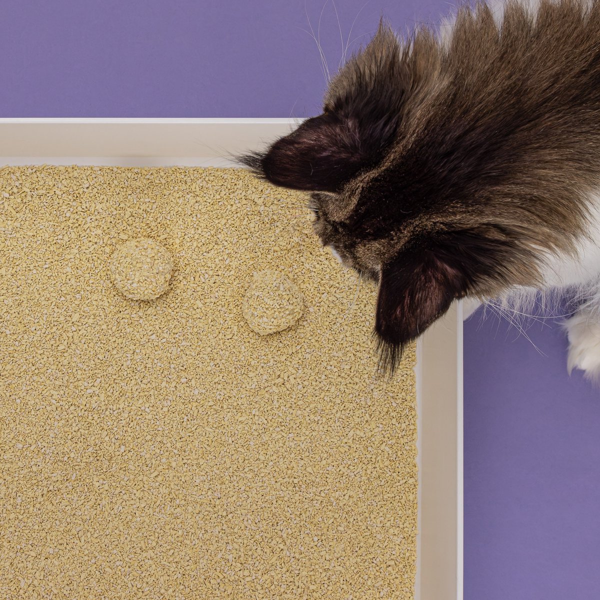 Miniatuur van productfoto 2 van Hoopo Tofu Fine - Voor automatische kattenbakken - Klonterende Kattenbakvulling - Volledig Stofvrij - 28 Liter - Zonder Geur