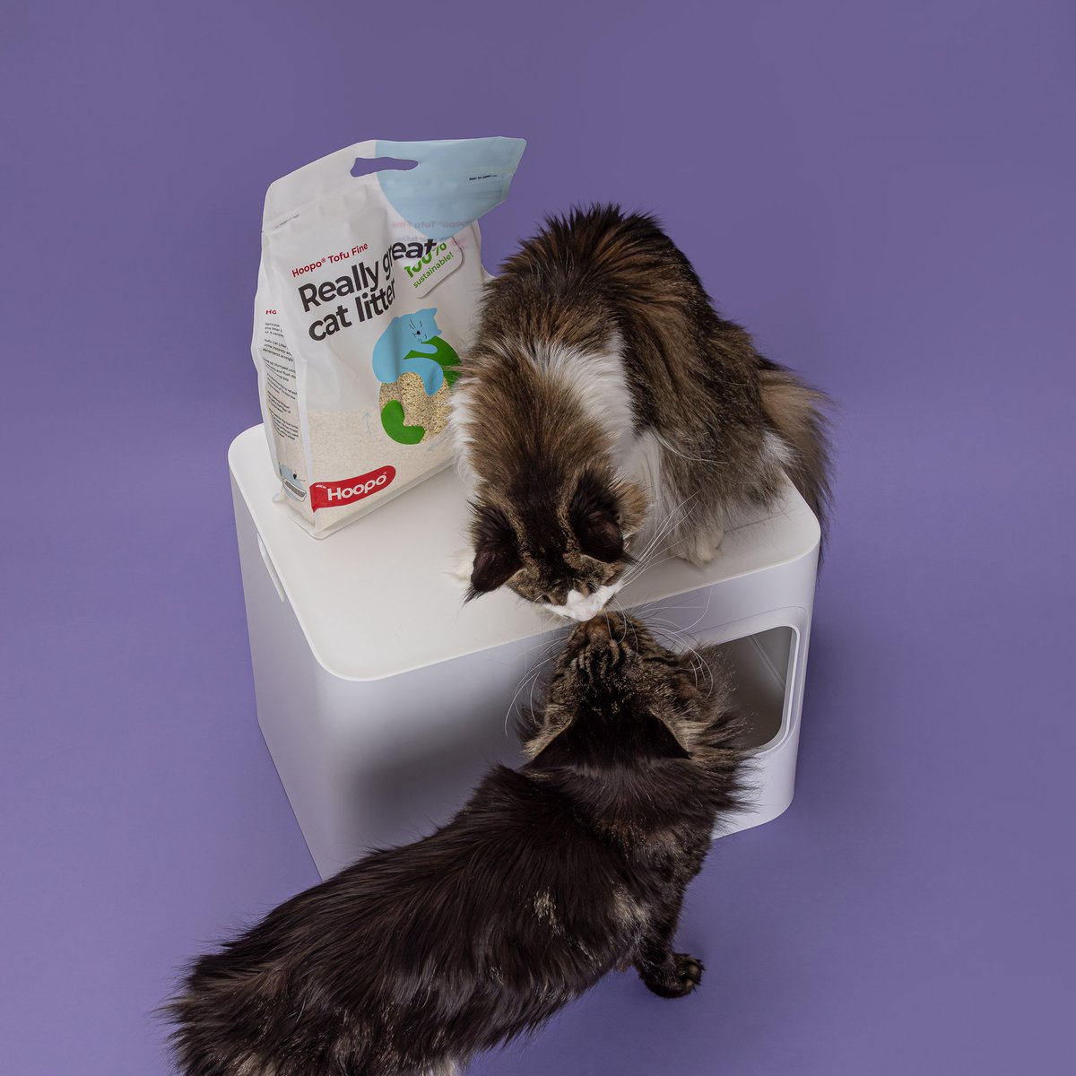 Miniatuur van productfoto 3 van Hoopo Tofu Fine Naturel - 51L - Klontvormende Kattenbakvulling - Stofvrij - Zonder Geur - Effectief tegen nare geurtjes