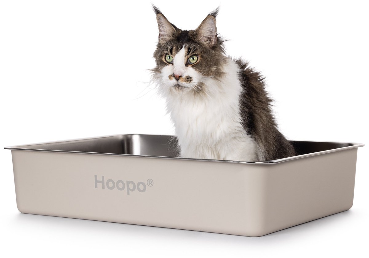Miniatuur van productfoto 4 van Hoopo Pool - XXL Kattenbak - Kattenbak voor grote katten - RVS - 70x50x15cm