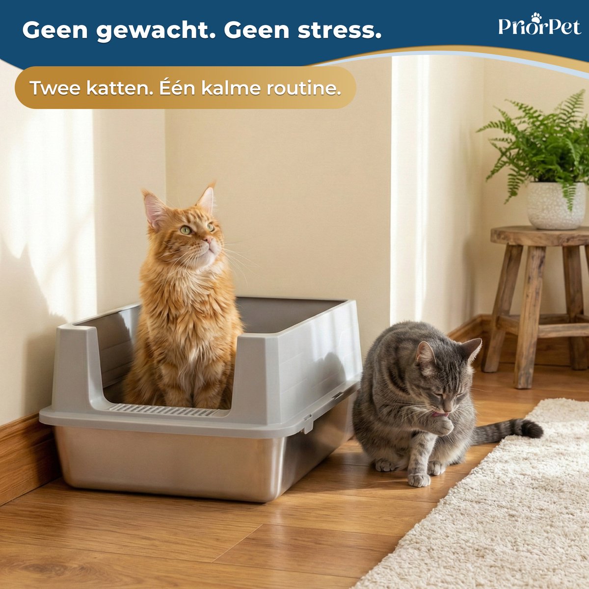 Miniatuur van productfoto 3 van Kattenbak RVS XXL Groot – Extra Grote RVS voor Grote Katten & 2 Katten – Stainless Steel Litter Box – Hoge Rand, Lekvrij & Geringe Geurvorming – Met Schep – 71×52×30 cm