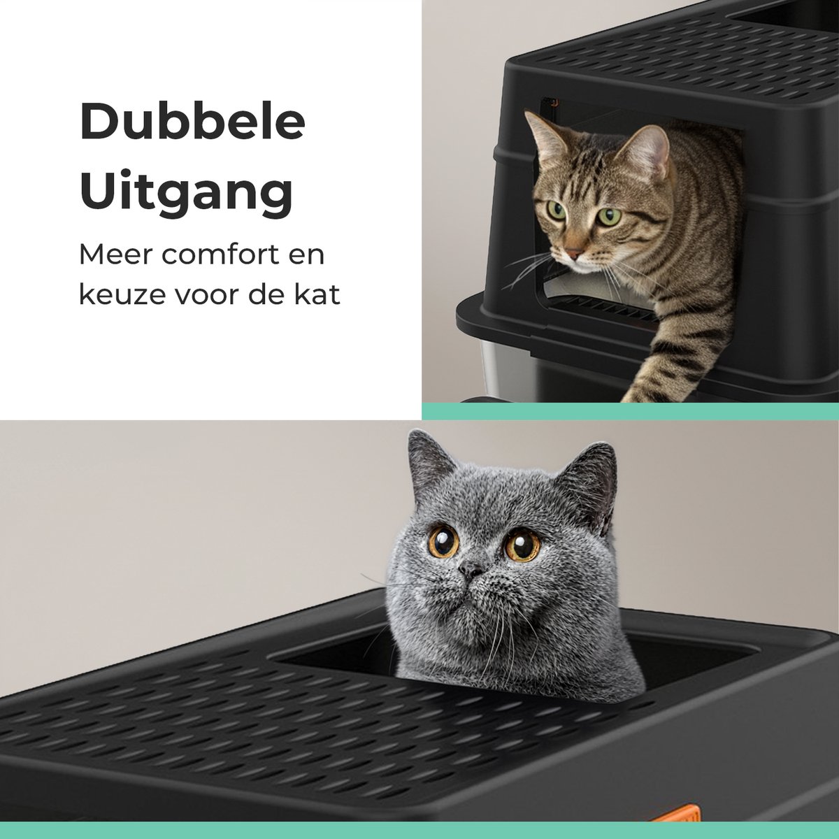 Miniatuur van productfoto 8 van Cellavi Premium Kattenbak RVS - XL - Geschikt voor Grote en Kleine Katten - Incl. Kattenbakschep en Grit Opvanger - Zwart - 60x40x38 cm