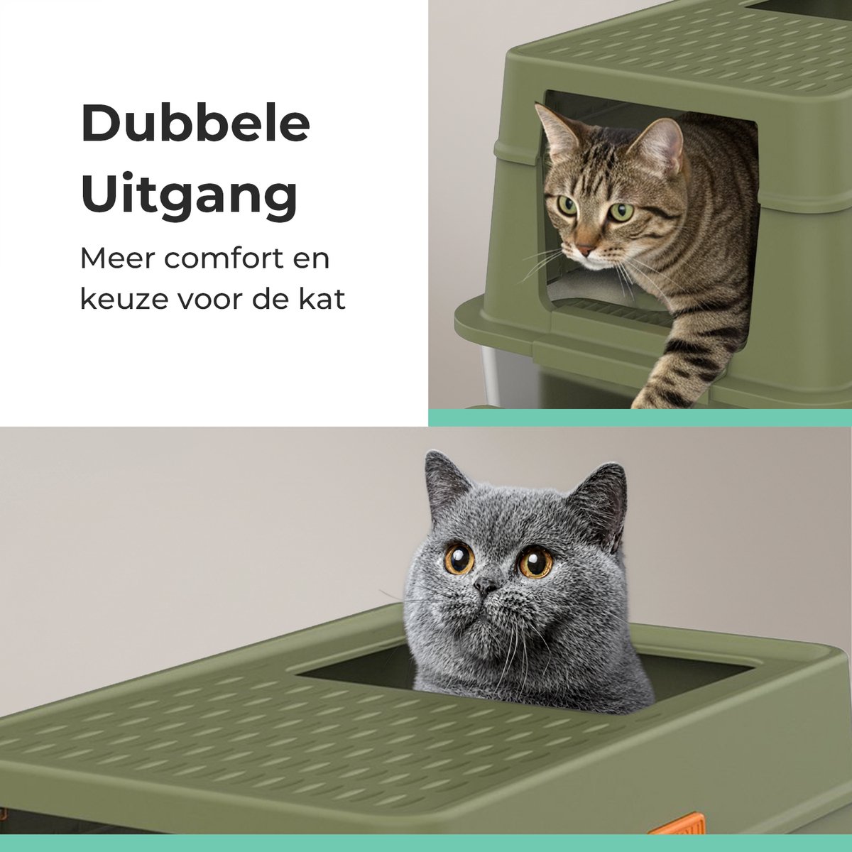 Miniatuur van productfoto 2 van Cellavi Premium Kattenbak RVS - XL - Geschikt voor Grote en Kleine Katten - Incl. Kattenbakschep en Grit Opvanger - Groen - 60x40x38 cm