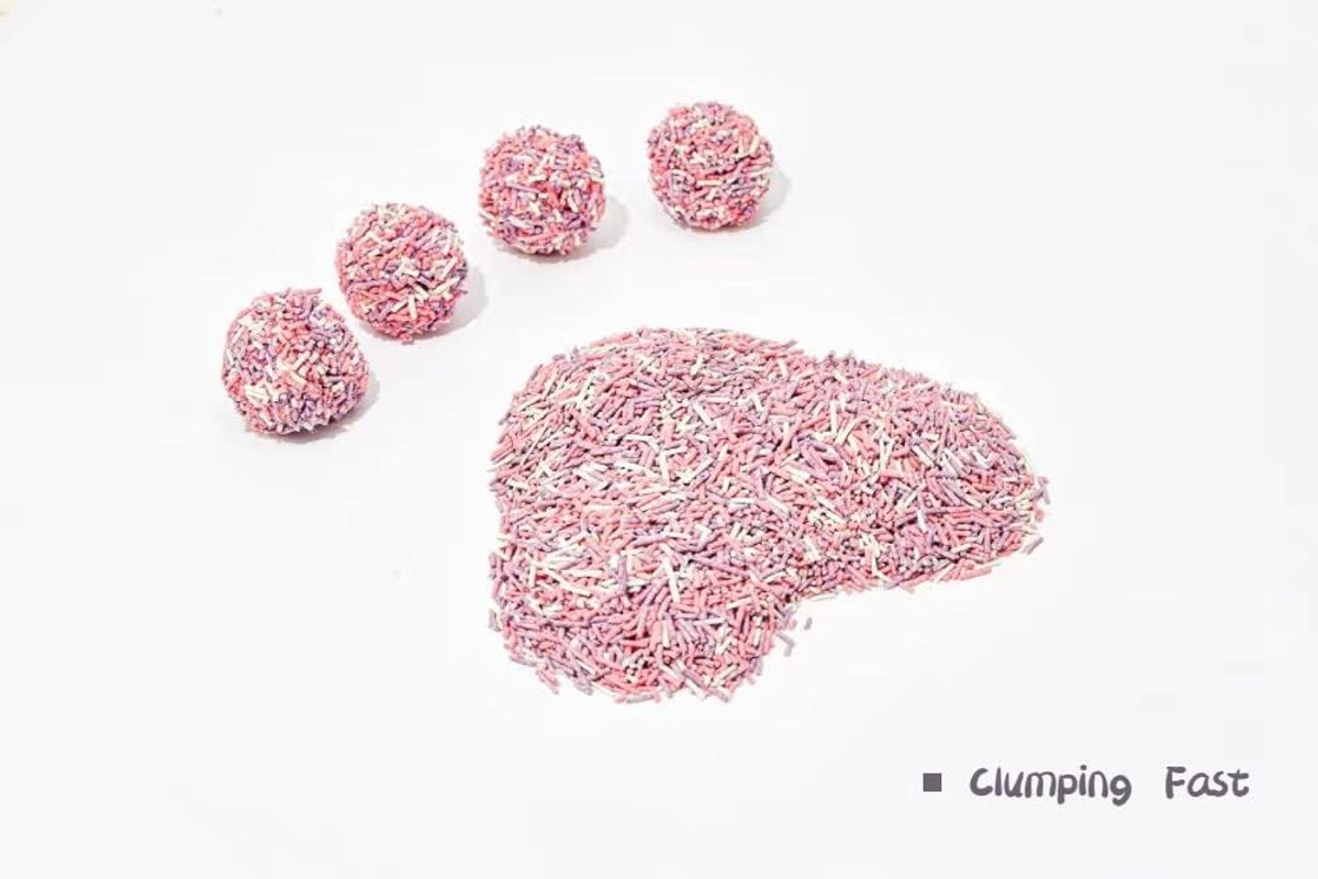 Miniatuur van productfoto 3 van Kattenbakvulling Tofu - Natuurlijk Plantaardig - Hygiënisch Huisdier - Snel Klontvormend - 5.4 Kilogram - Niet Van Toepassing