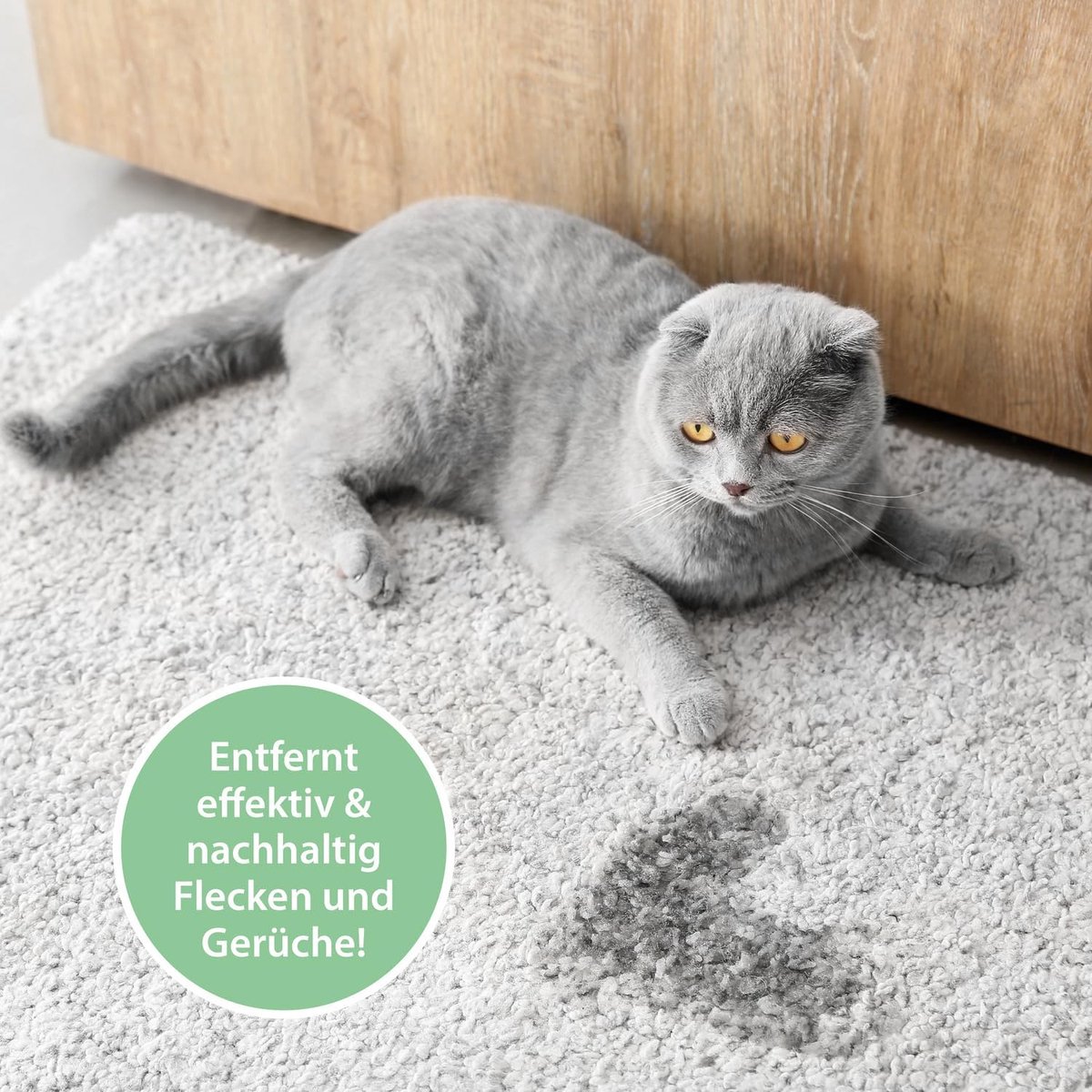 Miniatuur van productfoto 2 van Katten Urineverwijderaar Spray – 100 ml – Enzymreiniger tegen Urinegeur & Vlekken – Voor Bank, Auto, Kattenbak & Textiel