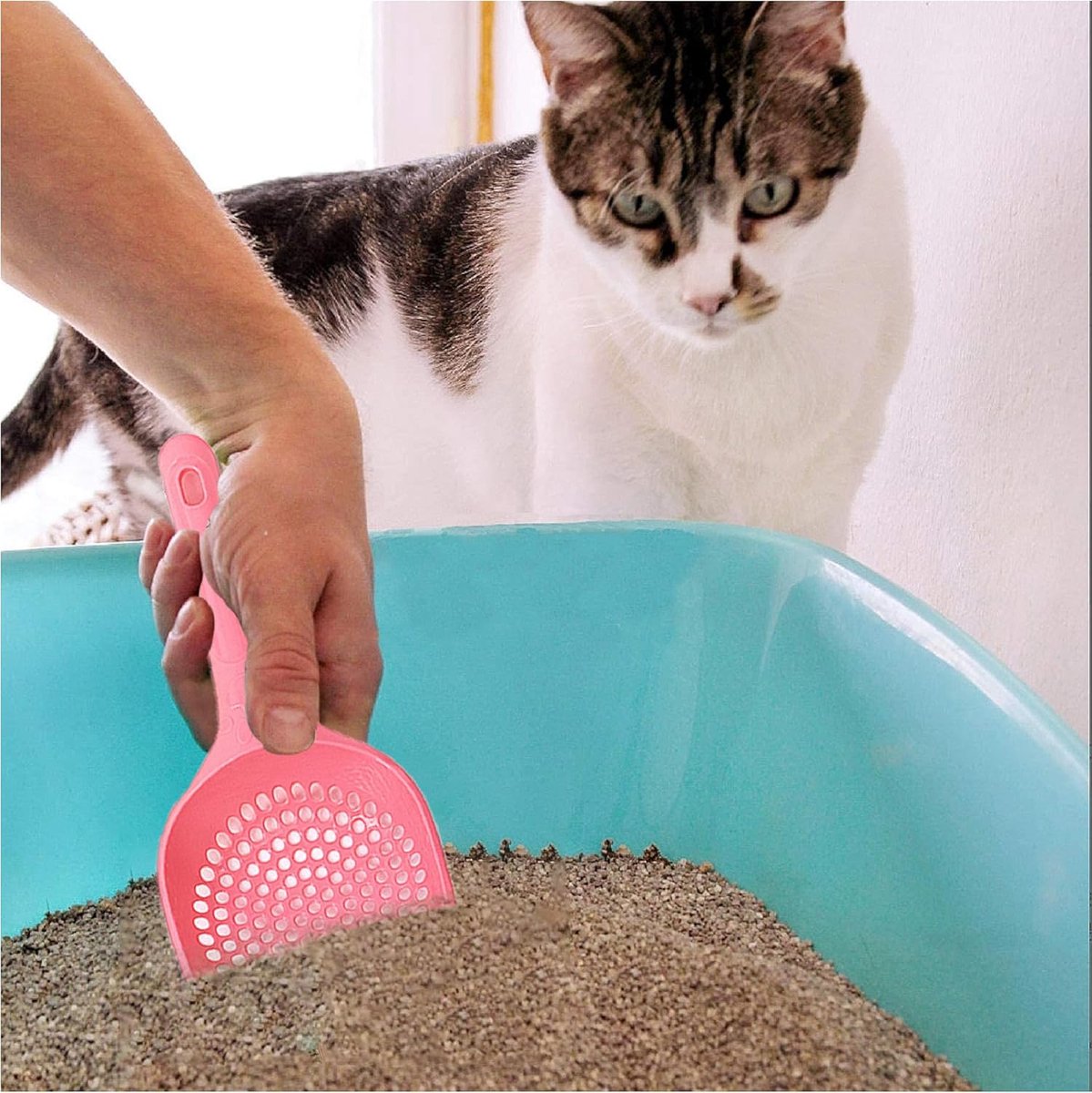 Miniatuur van productfoto 5 van Kattenbak Schepje - Poep Schep - 25cm - Kleine Gaten - Roze